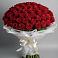 Букет 101 Красная роза Блэк Мэджик в Ромашково