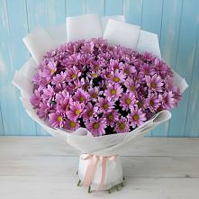 Букет цветов из:  Хризантемы в Ромашково