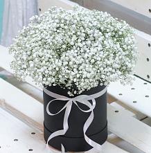 Цветочная композиция из Гипсофила в шляпной коробке #REPLACE_PRED# Ромашково