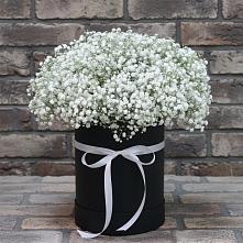 Цветочная композиция из Гипсофила в шляпной коробке в Ромашково