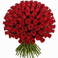 Букет Красные розы Чери Лав #REPLACE_PRED# Ромашково