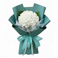 Букет цветов из:  Гортензия в Ромашково